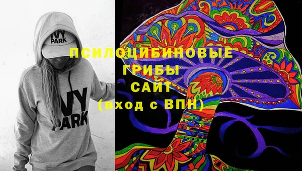 гашик Алзамай